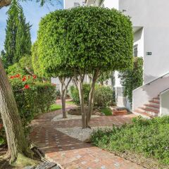 Отель Royal Oasis Club at Pueblo Quinta by Diamond Resorts фото 21