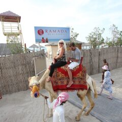 Ramada Beach Hotel Ajman с домашними животными