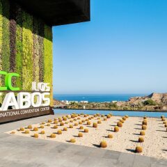Отель Hyatt Place Los Cabos Мексика, Сан-Хосе-дель-Кабо - отзывы, цены и фото номеров - забронировать отель Hyatt Place Los Cabos онлайн пляж