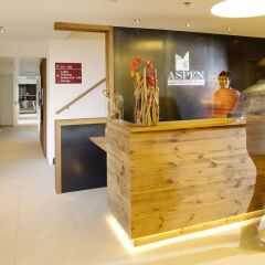 Отель Aspen Alpine Lifestyle Hotel Швейцария, Гриндельвальд - отзывы, цены и фото номеров - забронировать отель Aspen Alpine Lifestyle Hotel онлайн интерьер отеля фото 3