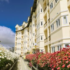 Отель Ladalat Hotel Вьетнам, Далат - отзывы, цены и фото номеров - забронировать отель Ladalat Hotel онлайн фото 4