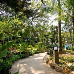 Отель Green Park Resort Таиланд, Паттайя - - забронировать отель Green Park Resort, цены и фото номеров фото 4
