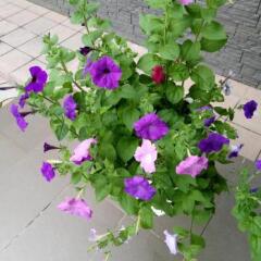Мини-отель Полярный Круг фото 4