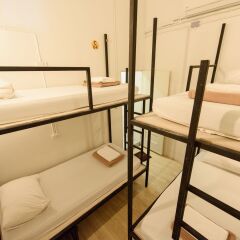 Warm White Hostel комната для гостей фото 3