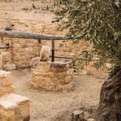 Отель Old Village Resort-Petra Иордания, Вади-Муса - отзывы, цены и фото номеров - забронировать отель Old Village Resort-Petra онлайн фото 3