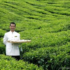 Отель Cameron Highlands Resort фото 3