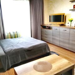 Апартаменты Apartment in Vitebsk Tower комната для гостей фото 5