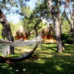Fun&Sun Club Saphire Турция, Кемер - отзывы, цены и фото номеров - забронировать отель Fun&Sun Club Saphire онлайн фото 10