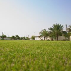 Отель Green Mubazzarah Chalets ОАЭ, Эль-Айн - отзывы, цены и фото номеров - забронировать отель Green Mubazzarah Chalets онлайн фото 8
