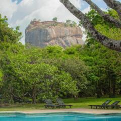 Отель Sigiriya Village бассейн фото 2