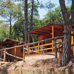 Отель Camping Santa Elena Ciutat Испания, Льорет-де-Мар - отзывы, цены и фото номеров - забронировать отель Camping Santa Elena Ciutat онлайн фото 2
