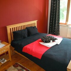 Отель Dragushinovo Boutique Chalet Hotel Болгария, Боровец - отзывы, цены и фото номеров - забронировать отель Dragushinovo Boutique Chalet Hotel онлайн фото 11