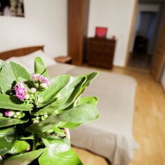 Гостиница Funny Dolphins Apartments Spasskaya в Москве отзывы, цены и фото номеров - забронировать гостиницу Funny Dolphins Apartments Spasskaya онлайн Москва комната для гостей фото 5