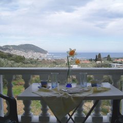 Alexandros Rooms & Studios in Skopelos, Greece from 54$, photos, reviews - zenhotels.com meals