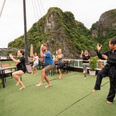 Отель Swan Cruises Halong фитнесс-зал