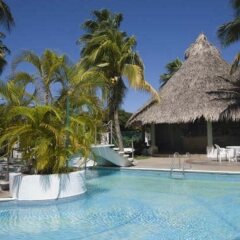 Las Palmeras in Manzanillo, Venezuela from 152$, photos, reviews - zenhotels.com pet-friendly