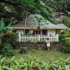 Отель Koro Sun Resort Савусаву фото 13