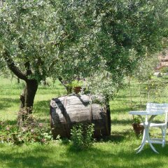 Отель Olive Tree Hill Дзагароло фото 6