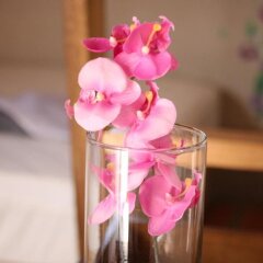 Отель O! Share Sweet B & B Китай, Сямынь - отзывы, цены и фото номеров - забронировать отель O! Share Sweet B & B онлайн интерьер отеля фото 3