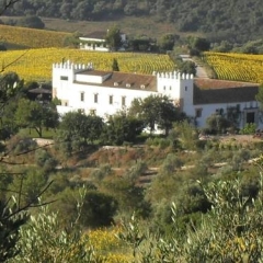 Отель Cortijo Barranco фото 9