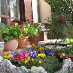 Отель B&B Al Calicanto Соризоле фото 4