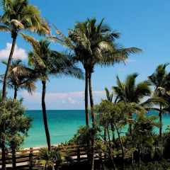 Отель Fontainebleau Miami Beach пляж фото 3
