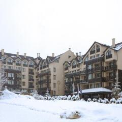 Отель Premier Luxury Mountain Resort Болгария, Банско - отзывы, цены и фото номеров - забронировать отель Premier Luxury Mountain Resort онлайн фото 2
