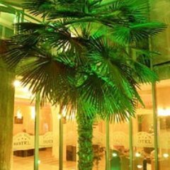 Magic Palm Hotel Равда