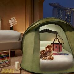 Отель The Ritz-Carlton, Millenia Singapore удобства в номере