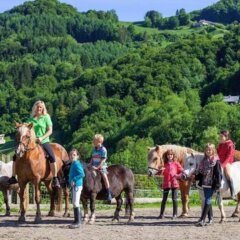Отель Gästehaus Ferienwohnungen Pfeffererlehen Марктшелленберг детские мероприятия