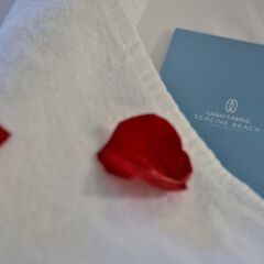 Отель Sealine Beach - a Murwab Resort удобства в номере