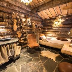 Отель Engholm Husky Design Lodge сауна
