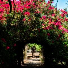 Отель Quinta Da Praia Das Fontes Португалия, Алкошети - отзывы, цены и фото номеров - забронировать отель Quinta Da Praia Das Fontes онлайн фото 8
