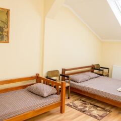Lions heart hostel комната для гостей фото 3