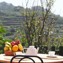 Отель Finca el Roque питание фото 2