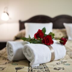 Hotel Belvedere комната для гостей