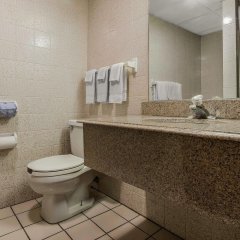 Quality Inn & Suites Binghamton Vestal in Hallstead, United States of America from 107$, photos, reviews - zenhotels.com bathroom