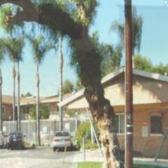 Отель Hyland Motel Van Nuys США, Лос-Анджелес - отзывы, цены и фото номеров - забронировать отель Hyland Motel Van Nuys онлайн спортивное сооружение