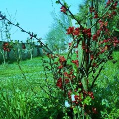 Отель B&B Le Palme Италия, Падуя - отзывы, цены и фото номеров - забронировать отель B&B Le Palme онлайн фото 3