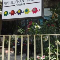Five Elephant Hostel балкон