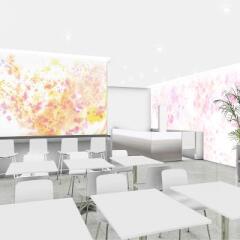 Hotel Oriental Express Tokyo Ginza развлечения