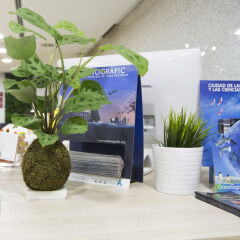 Отель Jardin Botanico Hotel Boutique Испания, Валенсия - отзывы, цены и фото номеров - забронировать отель Jardin Botanico Hotel Boutique онлайн интерьер отеля