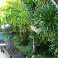 Holiday Park Hotel фото 2