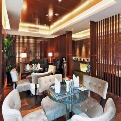 Grand Skylight International Hotel Shenzhen Guanlan Avenue интерьер отеля фото 2