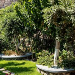 Отель Santorini Mystique Garden Греция, Остров Санторини - отзывы, цены и фото номеров - забронировать отель Santorini Mystique Garden онлайн фото 6