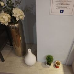 Blueboat Hostel Myeongdong с домашними животными