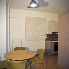 Апартаменты Athens Lotus Apartments в номере фото 2