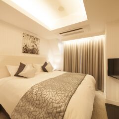 Отель The Centurion Hotel Classic Akasaka Япония, Токио - отзывы, цены и фото номеров - забронировать отель The Centurion Hotel Classic Akasaka онлайн комната для гостей фото 2