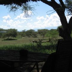 Kitani Safari Lodge in Tsavo, Kenya from 255$, photos, reviews - zenhotels.com outdoors