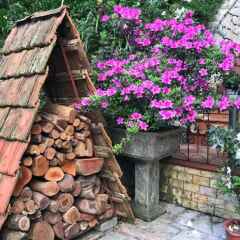 Отель Sapa Garden Bed and Breakfast Вьетнам, Шапа - отзывы, цены и фото номеров - забронировать отель Sapa Garden Bed and Breakfast онлайн фото 20